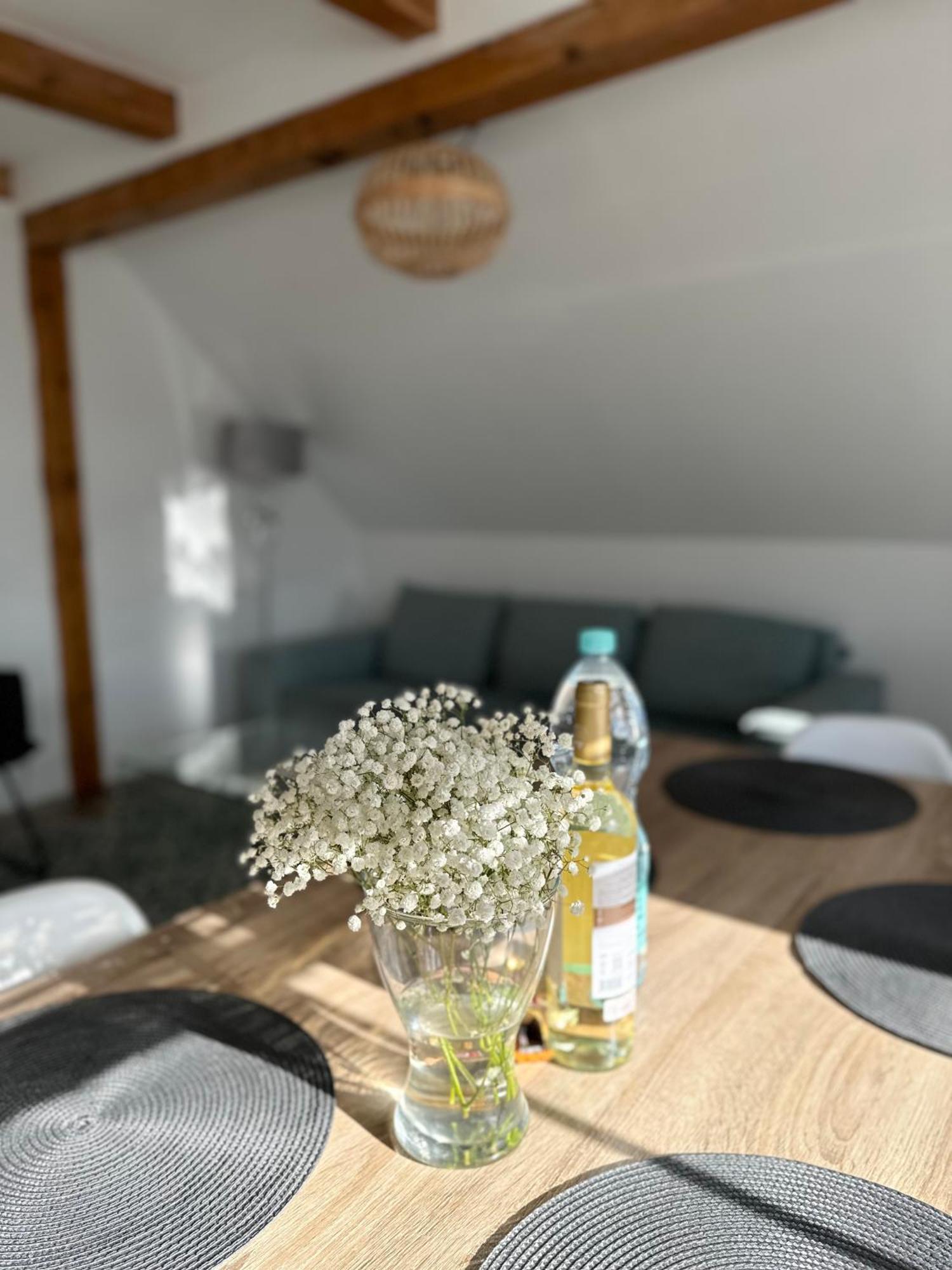 Klimatyczny Apartament Nr 8 Z Widokiem Na Gory Sowie Bielawa  Buitenkant foto